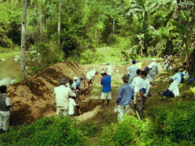 海外での取り組み