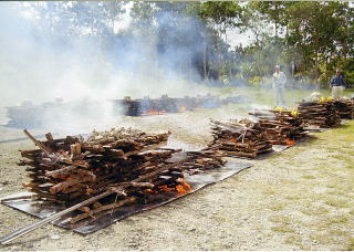 海外遺骨収集～フィリピン3